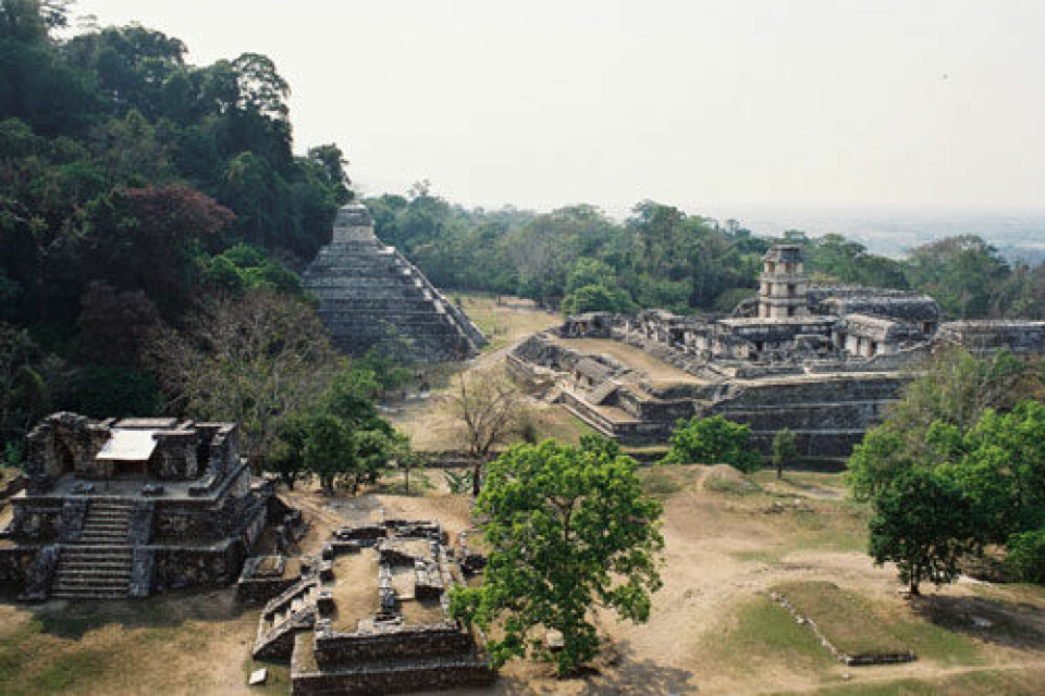 Forskere har funnet spor av maya-sivilisasjonens bruk av naturressurser i genene til en sjelden art elveskilpadde. Bildet viser en mayaby i Mexico. (Foto: iStockphoto)