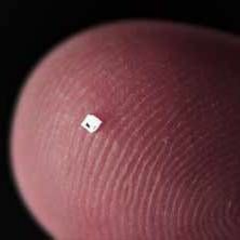 Dette er en liten trykksensor på 800 x 800 mikrometer som kan være tenkt benyttet inne i kroppen, eventuelt på tuppen av et kateter. (Foto: Sintef IKT)