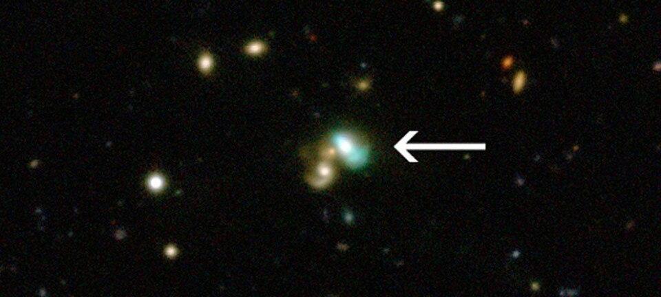 Dette bildet viser et eksempel på en ny type objekter som har fått kallenavnet grønn bønne-galakser. Galaksen ligger 3.7 milliarder lysår unna Jorden. Klikk her for større versjon av bildet. CFHT/ESO/M. Schirmer