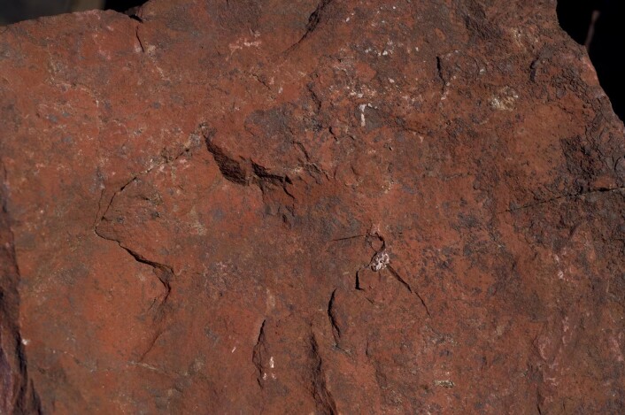 Rødvitret overflate av bergarten rødberg fra Gruveåsen i Fensfeltet. Thoriummineralene er ørsmå og sitter finfordelt i bergarten. (Foto: Sven Dahlgren) Rødvitret overflate av bergarten rødberg fra Gruveåsen i Fensfeltet. Thoriummineralene er ørsmå og sitter finfordelt i bergarten. (Foto: Sven Dahlgren)