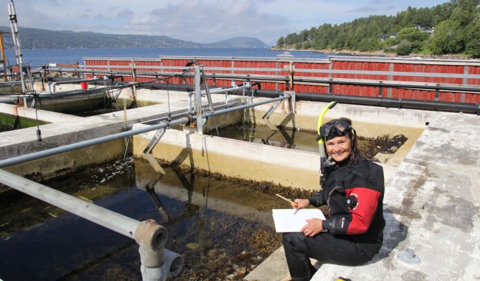 I tidevannsbasseng på Solbergstrand undersøker forsker Eli Rinde både naturlig og menneskeskapt påvirkning på livet i havet. I tidevannsbasseng på Solbergstrand undersøker forsker Eli Rinde både naturlig og menneskeskapt påvirkning på livet i havet.
