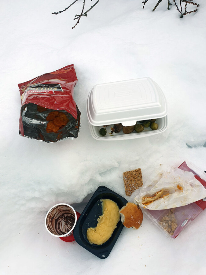Matrester som er forlatt langs veien på Dovre. Sånt tiltrekker seg åtseletere. Matrester som er forlatt langs veien på Dovre. Sånt tiltrekker seg åtseletere.