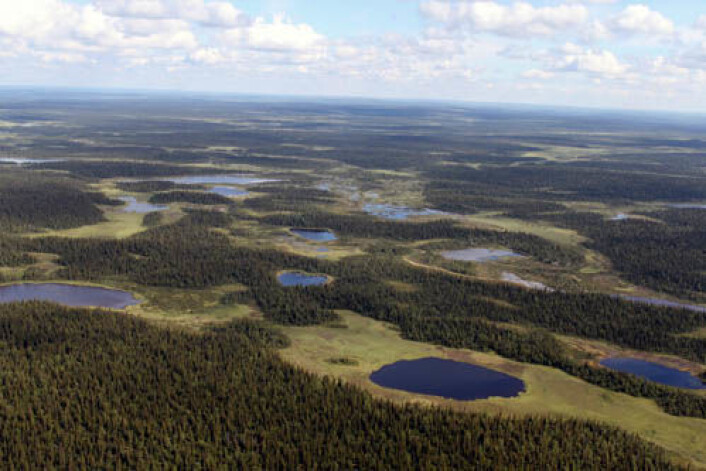 Panorama fra Russlands Imadra-Varzuga grønnsteinsbelte, hvor en del av boringen i FAR DEEP-prosjektet fant sted. (Foto: Victor Melezhik) Panorama fra Russlands Imadra-Varzuga grønnsteinsbelte, hvor en del av boringen i FAR DEEP-prosjektet fant sted. (Foto: Victor Melezhik)