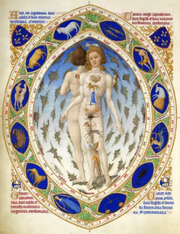 Mange medisinske verk i middelalderen inneholdt en oversikt over hvilke kroppsdeler som ble styrt av hvilke stjernetegn. Stjernenes plassering dikterte for eksempel når medisin skulle gis, og hvilken del av kroppen som skulle årelates. Her en illustrasjon av Limbourg-brødrene fra begynnelsen av 1400-tallet. (Foto: (Illustrasjon: Très Riches Heures du Duc de Berry))