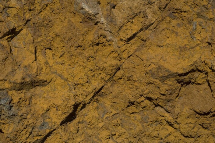 Brunvitret overflate av ankerittkarbonatitt ("rauhaugitt"). Også i denne bergarten forekommer thoriummineralene som svært små, finfordelte korn. (Foto: Sven Dahlgren) Brunvitret overflate av ankerittkarbonatitt ("rauhaugitt"). Også i denne bergarten forekommer thoriummineralene som svært små, finfordelte korn. (Foto: Sven Dahlgren)