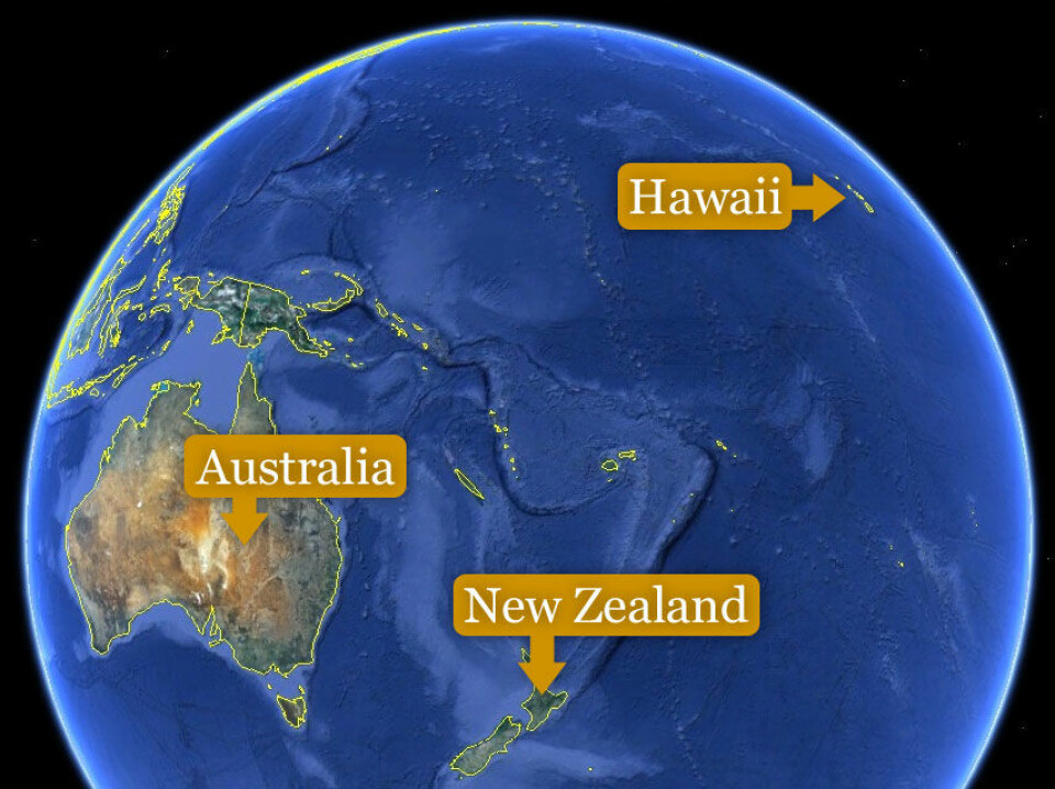Det er kanskje ikke så overraskende at det tok lang tid for menneskene å nå de fjerntliggende øyene i Stillehavet – her markert med gule linjer. Men da vi først nådde dit, ventet vi ikke lenge med å ta oss til rette. (Foto: (Kart: Google Maps/tilpasset forskning.no/Per Byhring))