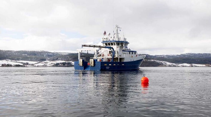 Scientists on a cruise to monitor sea trout. Scientists on a cruise to monitor sea trout.