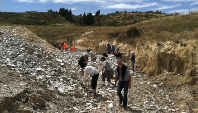 Utgravingsplassen kalles Foulden Maar og ligger sør i New Zealand. Utgravingsplassen kalles Foulden Maar og ligger sør i New Zealand.