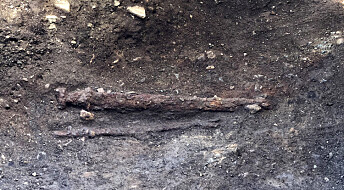 Venstrehendt viking gravlagt i Trøndelag?