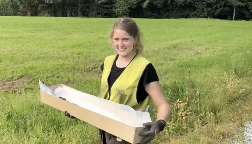 Astrid Kviseth bærer sverdet forsiktig vekk fra feltet. Nå skal det undersøkes videre.