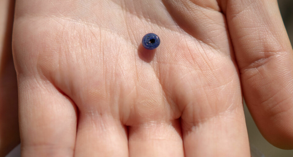 In the same area, archaeologists discovered what they believe was a woman’s grave, based on the artefacts they found – like this bead.