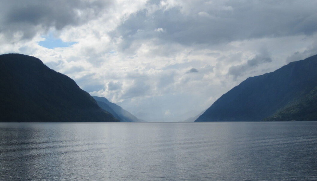 Tinnsjøen is Norway's third deepets lake at 460 metres. The researchers had never fished that deep before. They didn't know what bait or fishing method to use. Tinnsjøen is Norway's third deepets lake at 460 metres. The researchers had never fished that deep before. They didn't know what bait or fishing method to use.