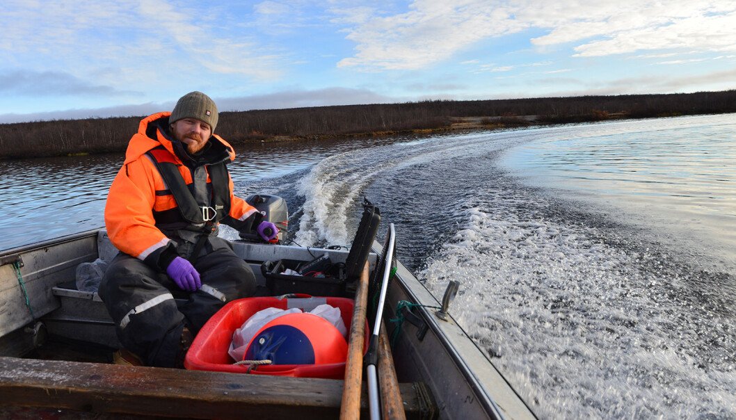 Kim Præbel, professor at UiT, boating on Tinnsjøen. Will he find the little fish he saw in the documentary? Kim Præbel, professor at UiT, boating on Tinnsjøen. Will he find the little fish he saw in the documentary?