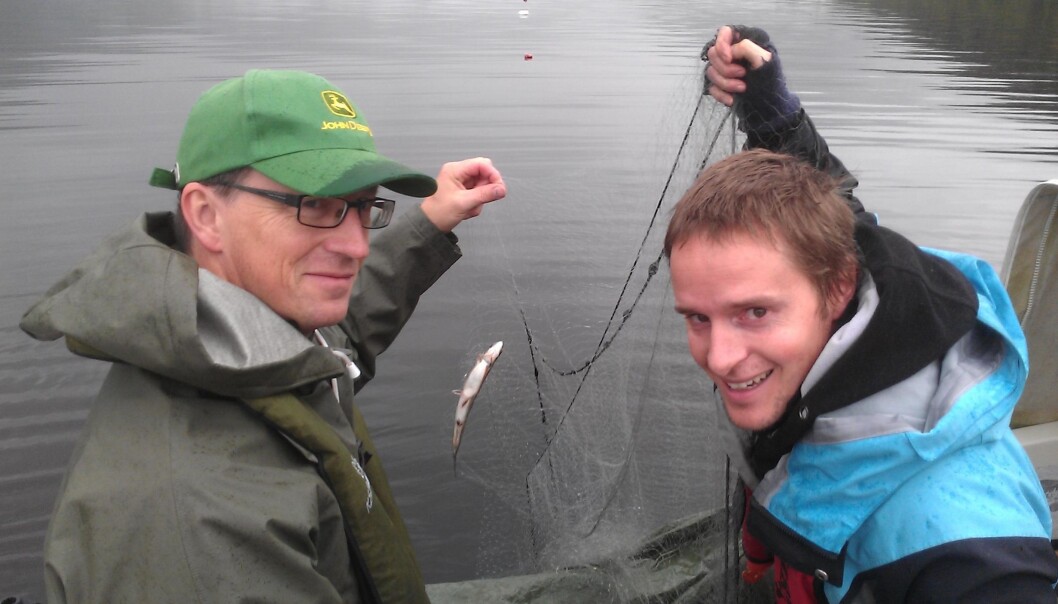 Kjartan Østbye and Marius Hassve in the boat during field work at Tinnsjøen. Kjartan Østbye and Marius Hassve in the boat during field work at Tinnsjøen.