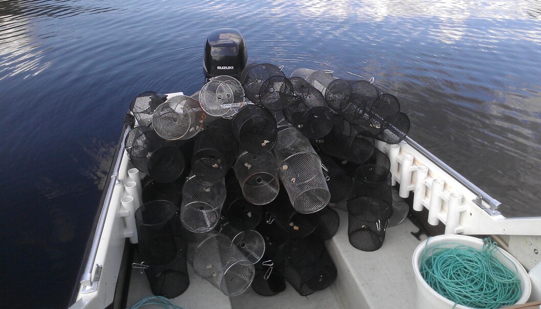 Ready to go hunting for char, with a boat filled with traps. Ready to go hunting for char, with a boat filled with traps.