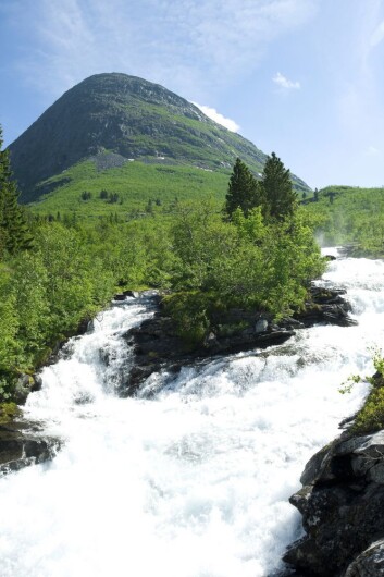 Foto: Shutterstock Foto: Shutterstock