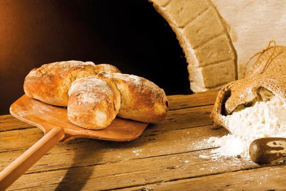 Hvete har unike bakeegenskaper. Forklaringen er høyt proteininnhold som gjør at brøddeigen hever seg og ikke faller sammen ved steking. (Foto: Shutterstock)