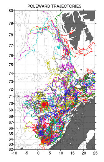 Et spagettiplott viser hvordan havbøyene beveget seg. (Illustrasjon: Poleward) Et spagettiplott viser hvordan havbøyene beveget seg. (Illustrasjon: Poleward)