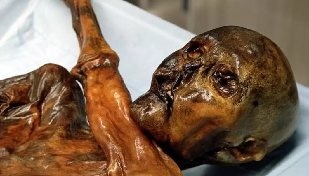 Fant verdens eldste blod på Ötzi