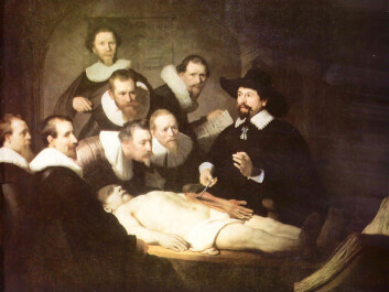 På 1600-tallet fikk Amsterdams kirurglaug lov å dissekere ett lik i året, og det måtte være liket til en henrettet kriminell. Her illustrert med Rembrandts Doktor Tulps anatomiforelesning. (Foto: (Illustrasjon: Wikimedia Commons)) På 1600-tallet fikk Amsterdams kirurglaug lov å dissekere ett lik i året, og det måtte være liket til en henrettet kriminell. Her illustrert med Rembrandts Doktor Tulps anatomiforelesning. (Foto: (Illustrasjon: Wikimedia Commons))