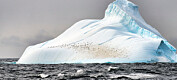 Nedkjøling av hav og isvekst i Antarktis har trolig skjedd samtidig