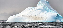 Nedkjøling av hav og isvekst i Antarktis har trolig skjedd samtidig