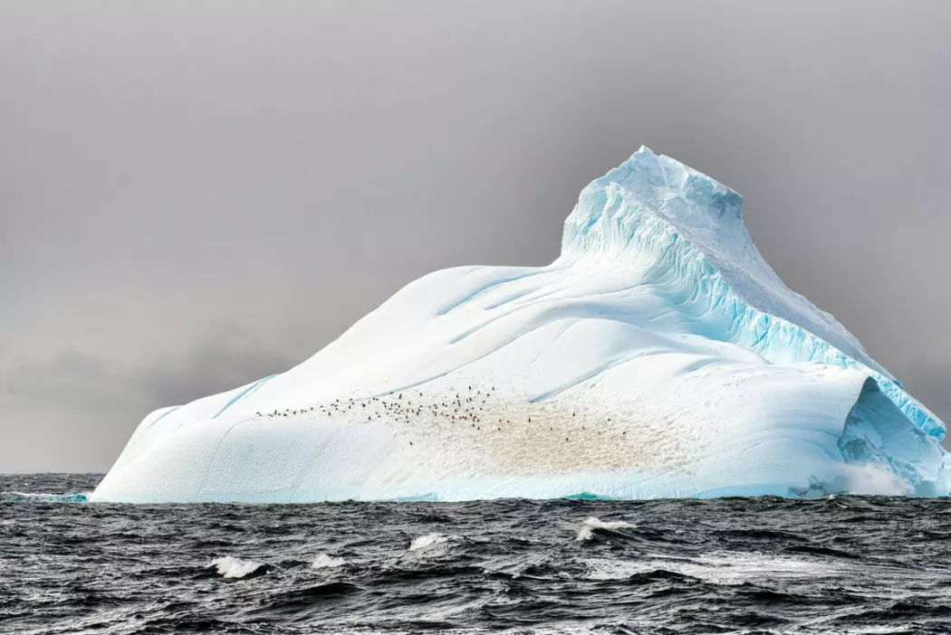 Forskere hevder at det er en felles årsak til samtidig nedkjøling av is og sjø: Nedgang i CO2-konsentrasjonen i atmosfæren.