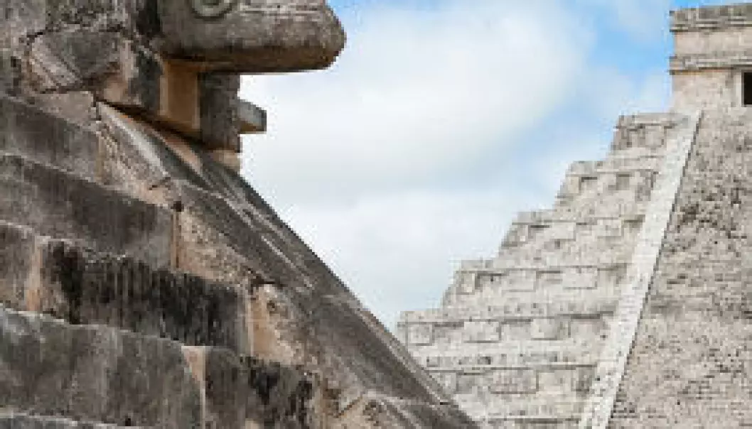 Mayaene påvirket skilpadde-gener
