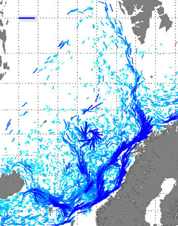 Forskerne har beregnet mer nøyaktig hvor Den norske atlanterhavsstrømmen går. De oppdaget også en permanent virvel med klokka utenfor Lofoten. (Illustrasjon: Poleward) Forskerne har beregnet mer nøyaktig hvor Den norske atlanterhavsstrømmen går. De oppdaget også en permanent virvel med klokka utenfor Lofoten. (Illustrasjon: Poleward)