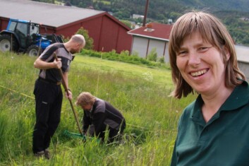 - Bruk av grønnmassen fra grønngjødsel til biogassproduksjon, og bruk av biorest som gjødsel i kornår, vil være mest nitrogeneffektivt, sier seniorforsker Sissel Hansen. (Foto: Anita Land) - Bruk av grønnmassen fra grønngjødsel til biogassproduksjon, og bruk av biorest som gjødsel i kornår, vil være mest nitrogeneffektivt, sier seniorforsker Sissel Hansen. (Foto: Anita Land)