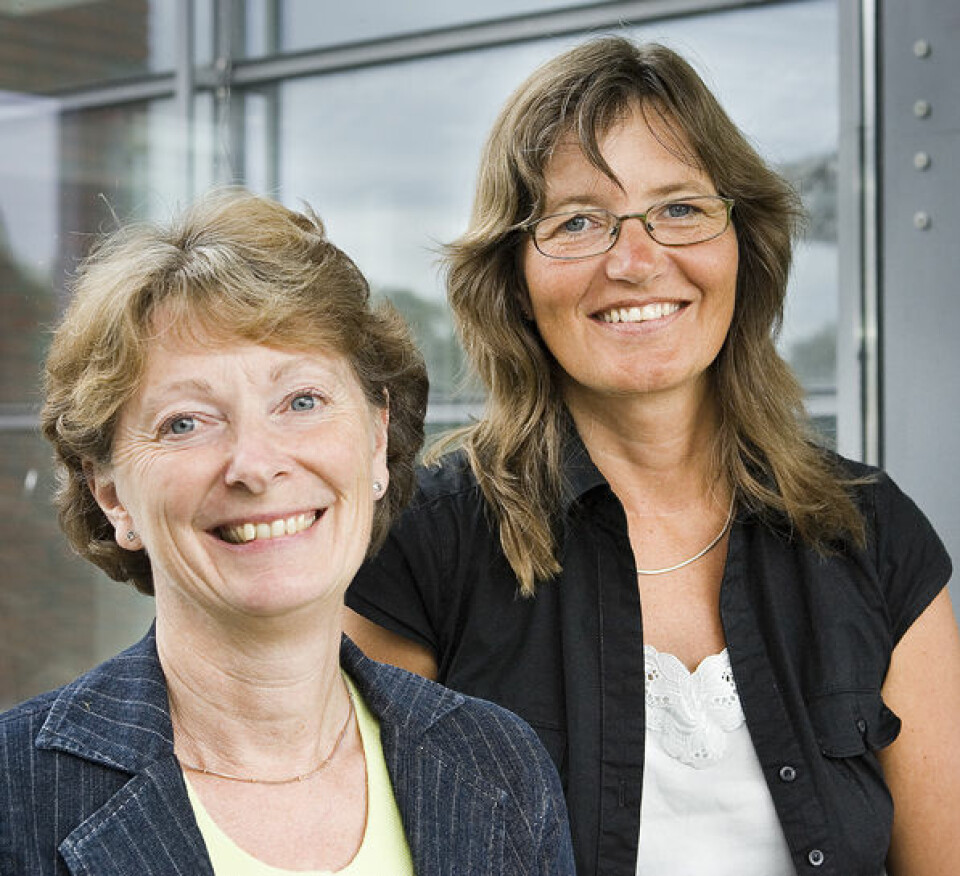 'Professor Judith Narvhus og førsteamanuensis Anne Wetlesen ser for seg en styrket mattrygghet om NVH og UMB slås sammen'