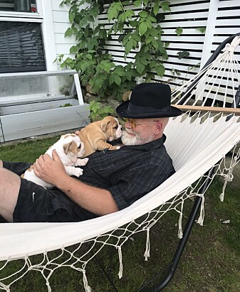 Arne Øygarden er leder av Norsk Bulldog Klubb. Det er den engelske bulldogen som står han nærmest. Arne Øygarden er leder av Norsk Bulldog Klubb. Det er den engelske bulldogen som står han nærmest.
