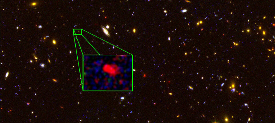 Galaksen z8 GND 5296 er den eldste galaksen som hittil er bekreftet gjennom spektroskopiske metoder. Bildet er basert på data fra romteleskopet Hubble og nesten hvert lysende punkt er en galakse. Den rødlige z8 GND 5296 er forstørret. (Illustrasjon: V. Tilvi (Texas A&M), S. Finkelstein (UT Austin), the CANDELS team og HST/NASA)