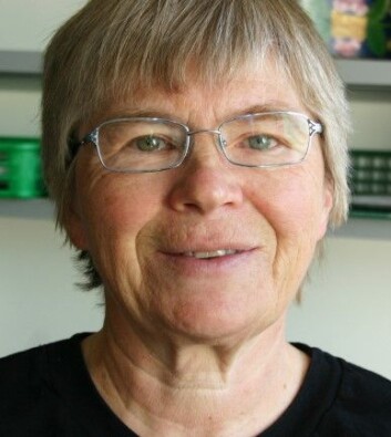 Kirsti Malterud. (Foto: Ida Irene Bergstrøm) Kirsti Malterud. (Foto: Ida Irene Bergstrøm)