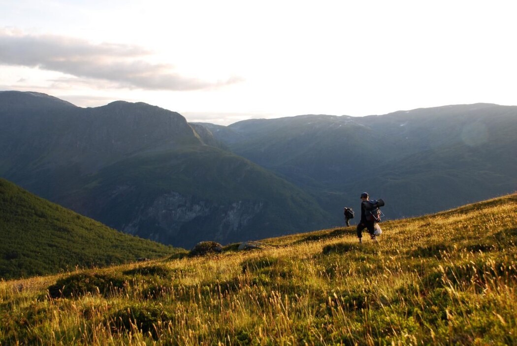 HEIM FRÅ FELT: Forskarane er ferdige i felt på Gudmedalen, og går heim for kvelden. Gudmedalen i Flåm er ein av dei alpine lokalitetane som vart undersøkte, og er den nest våtaste. HEIM FRÅ FELT: Forskarane er ferdige i felt på Gudmedalen, og går heim for kvelden. Gudmedalen i Flåm er ein av dei alpine lokalitetane som vart undersøkte, og er den nest våtaste.