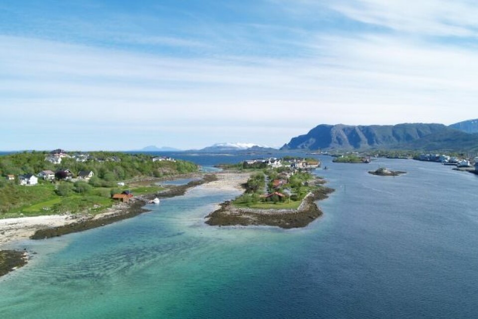Her er strandflaten utenfor Herøy i Nordland. (Foto: Halfdan Carstens)