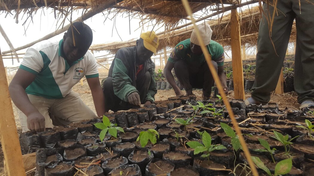Den lutherske kirken EELC (L’Eglise Evangélique Luthérienne au Cameroun) i Kamerun er tungt engasjert i klima- og miljøarbeid. Den lutherske kirken EELC (L’Eglise Evangélique Luthérienne au Cameroun) i Kamerun er tungt engasjert i klima- og miljøarbeid.