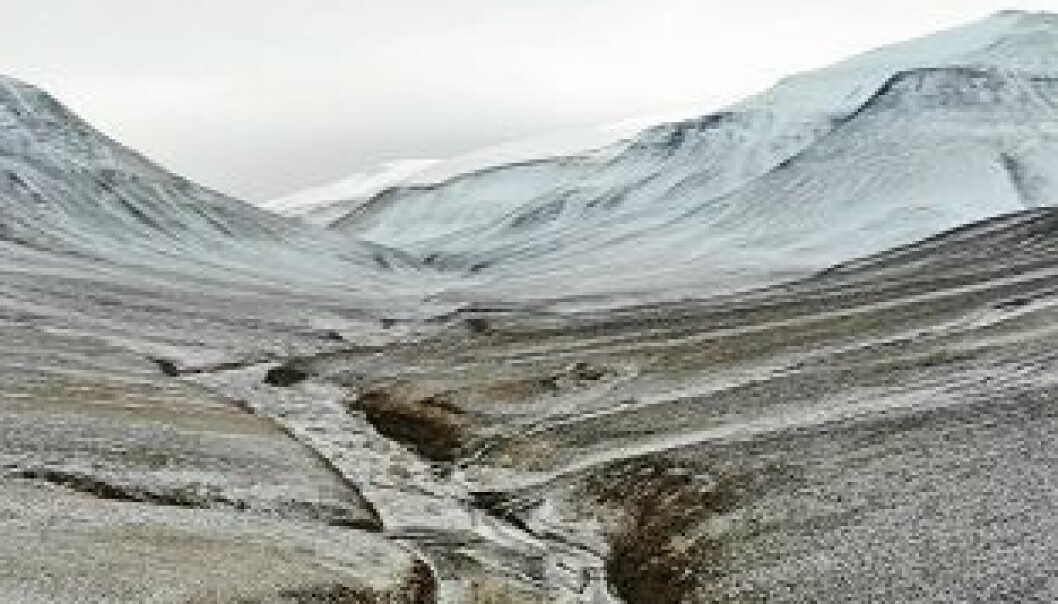 Svalbard avslører den største massedøden