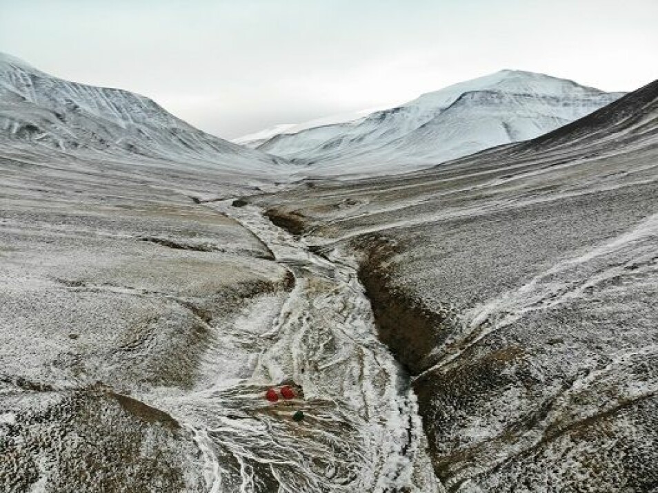 For 250 millioner år siden inntraff den aller største masseutryddelsen av liv. Deltadalen på Svalbard gir svar om hva som hendte.