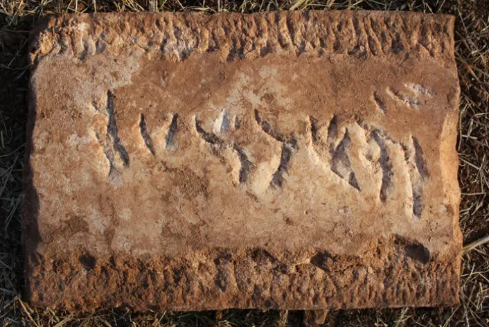 Denne hebraiske innskriften på en marmorplate fra romertidas Portugal er tolket som navnet Yehiel. Marmorplaten kan ha vært brukt til å dekke en grav etter tidas skikk. (Foto: Dennis Graen/FSU)
