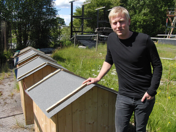 Prosjektleder Andreas Treu foran forsøkshusene, noen med strømpulser i veggene og andre uten. Om tre år skal vær og vind få vise hvor bra metoden virker mot sopp i treverket. (Foto: Arnfinn Christensen) Prosjektleder Andreas Treu foran forsøkshusene, noen med strømpulser i veggene og andre uten. Om tre år skal vær og vind få vise hvor bra metoden virker mot sopp i treverket. (Foto: Arnfinn Christensen)