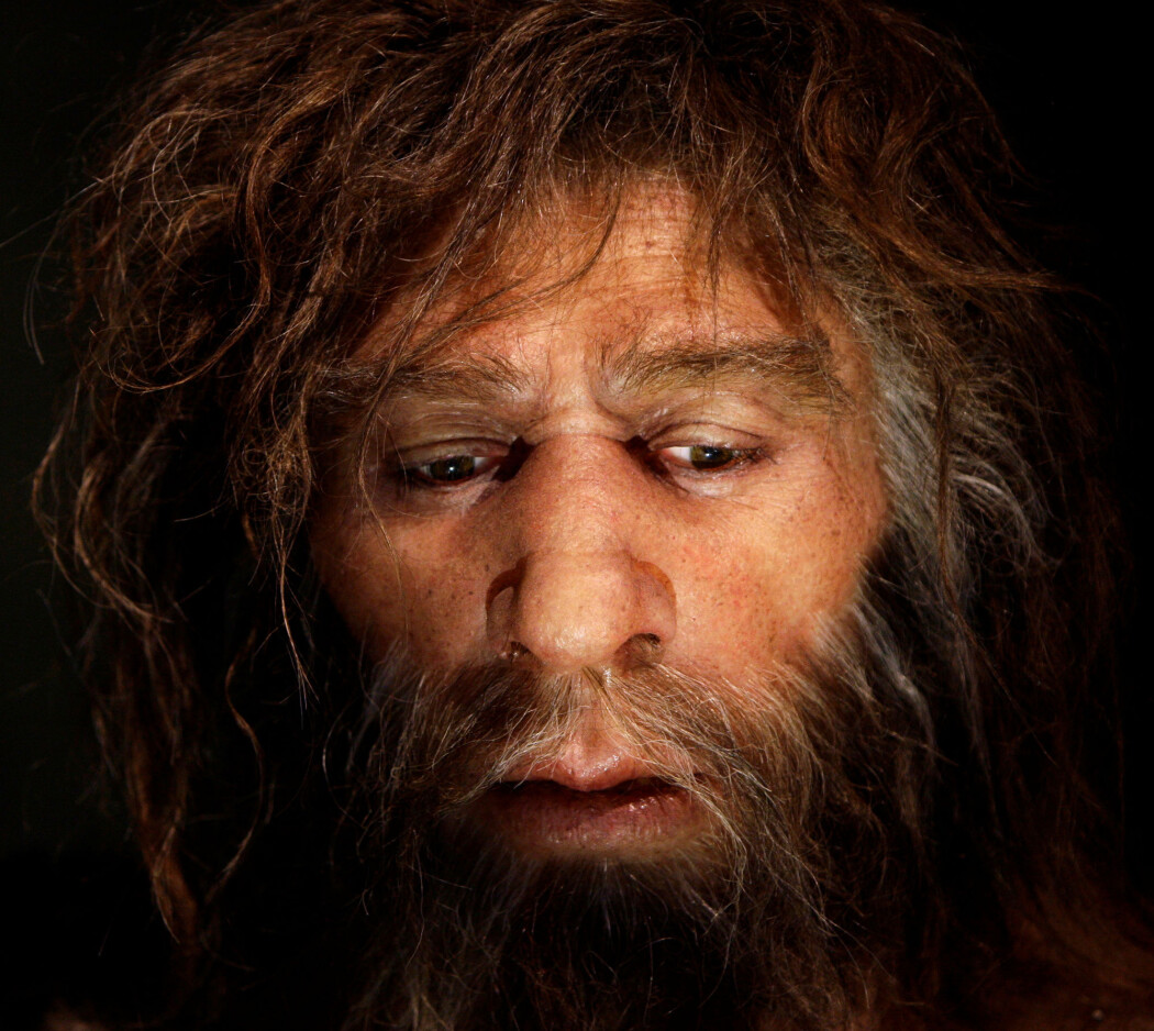 I begynnelsen virket det så opplagt: Homo sapiens utryddet neandertalerne. Men saken er langt mer komplisert. I begynnelsen virket det så opplagt: Homo sapiens utryddet neandertalerne. Men saken er langt mer komplisert.