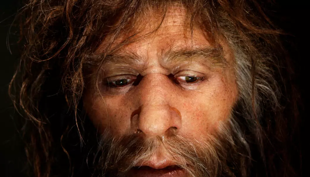 Hvorfor forsvant neandertalerne?