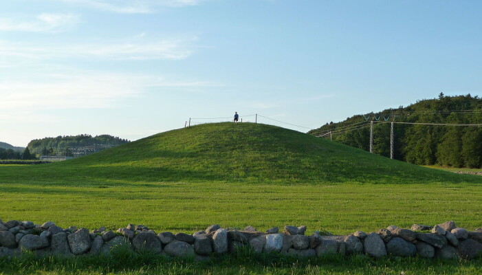 Gokstadhaugen slik den ser ut i dag. Gokstadhaugen slik den ser ut i dag.