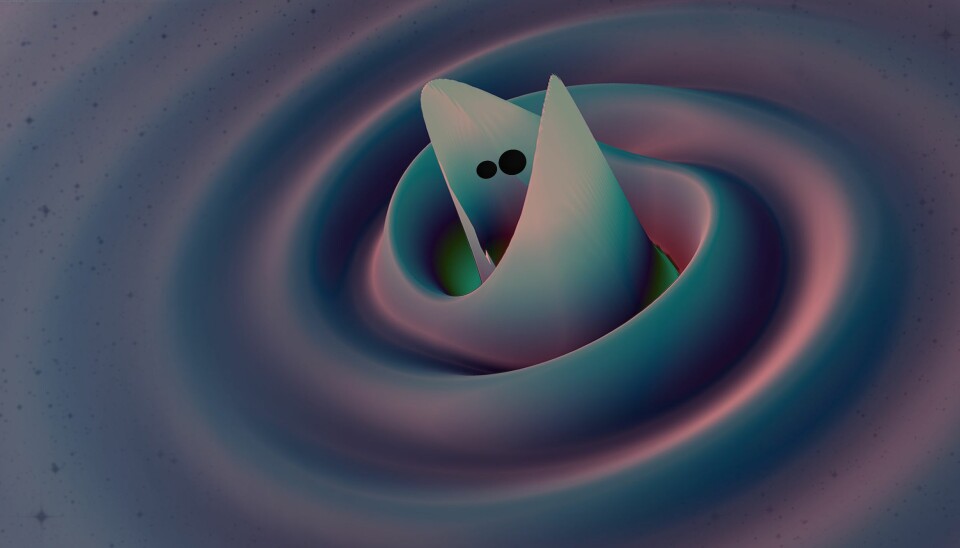 Illustrasjonen viser de to sorte hullene i det de er i ferd med å slå seg sammen. Samtidig lages det gravitasjonsbølger.