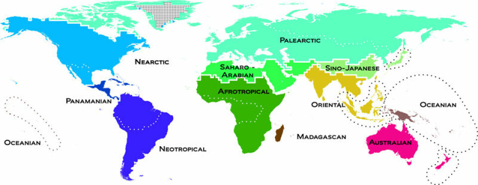 Dyras nye verdenskart deler verden in 11 regioner basert på hvilke dyrearter man kan finne der. (Foto: (Illustrasjon gjengitt med tillatelse fra Science/AAAS))