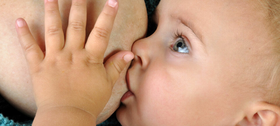 Spedbarn bør få fast føde fra de er fire måneder gamle for å unngå forsinket utvikling av hjerne og nervesystem, mener norske forskere. Colourbox.com