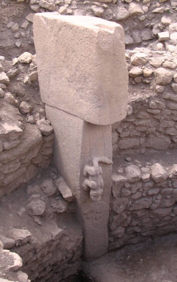 Skulptur av katteaktig dyr på stensøyle i Göbekli Tepe. (Foto: (Foto fra Wikimedia Commons)) Skulptur av katteaktig dyr på stensøyle i Göbekli Tepe. (Foto: (Foto fra Wikimedia Commons))