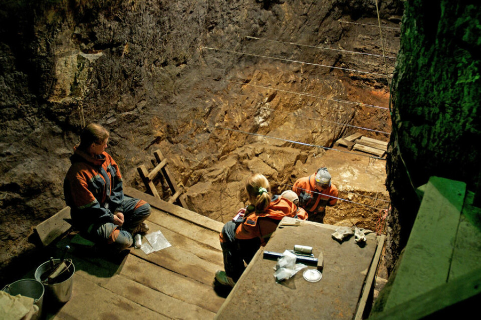 Arkeologene arbeider i Denisova-hulen. Lillefingeren av en denisovaner ble funnet i 2008. At den rommet helt ukjent DNA ble oppdaget seinere ved en tilfeldighet mens man egentlig lette etter neandertaler-DNA. (Foto: Max Planck Institute for Evolutionary Anthropology)