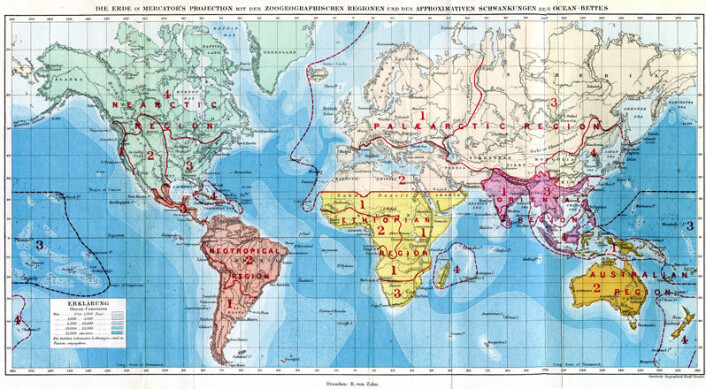 Alfred Russel Wallace' opprinnelige kart over verdens dyreregioner, fra "The Geographic Distributions of Animals" (1876) (Foto: (Illustrasjon: Center for Macroecology, Evolution and Climate)) Alfred Russel Wallace' opprinnelige kart over verdens dyreregioner, fra "The Geographic Distributions of Animals" (1876) (Foto: (Illustrasjon: Center for Macroecology, Evolution and Climate))
